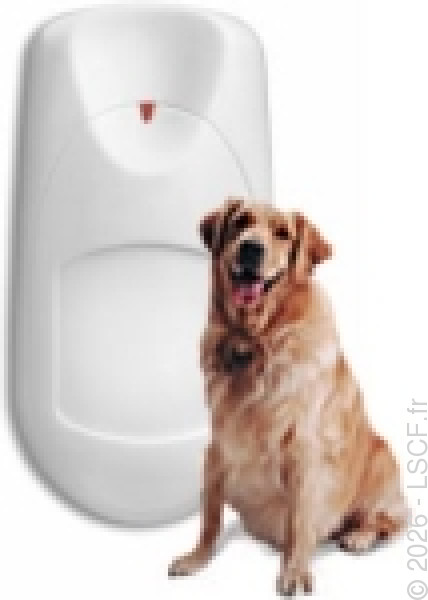 Photo du produit IWAVE-DT-PET